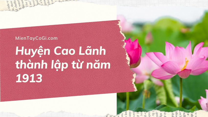 đồng tháp, đồng tháp có bao nhiêu huyện? chi tiết các đơn vị hành chính hiện nay