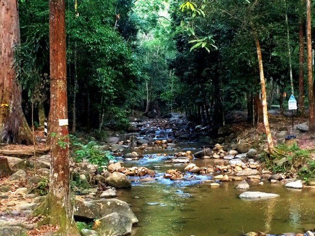 hiking ở malaysia: 10 cung đường với phong cảnh đẹp như  tranh vẽ