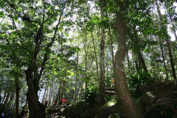 hiking ở malaysia: 10 cung đường với phong cảnh đẹp như  tranh vẽ