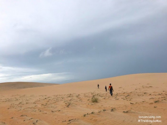 trekking sa mạc lớn nhất việt nam: lịch trình – kinh nghiệm – hướng dẫn chi tiết