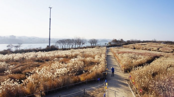 10 địa điểm chụp hình ở seoul đẹp ngất ngây