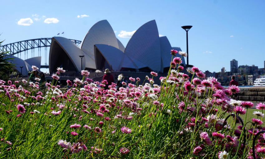 15 Địa điểm chụp hình ở Sydney cho Instagram thêm phần ấn tượng