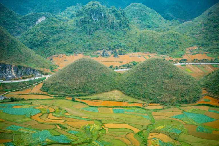 top 11 địa điểm du lịch hà giang, mùa hoa tam giác mạch