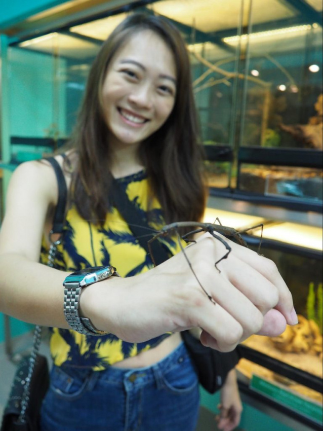 triển lãm động vật hoang dã singapore cực hấp dẫn