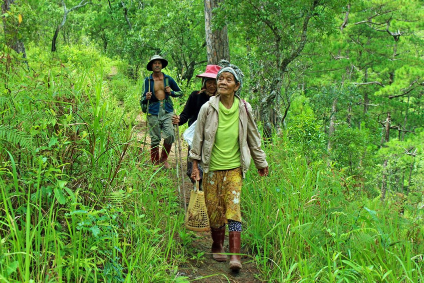 trekking, núi bà, nóc nhà tây nguyên, lâm đồng, kinh nghiệm leo đỉnh bidoup, đỉnh bidoup, kinh nghiệm chinh phục đỉnh bidoup – nóc nhà của lâm đồng