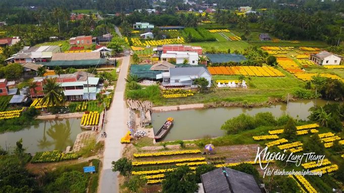 Xuân này về Bến Tre – Làng hoa Cái Mơn, Chợ Lách đẹp nhất Việt Nam