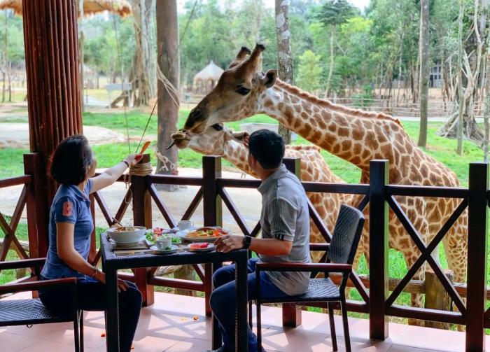 review công viên sở thú vinpearl safari phú quốc chi tiết