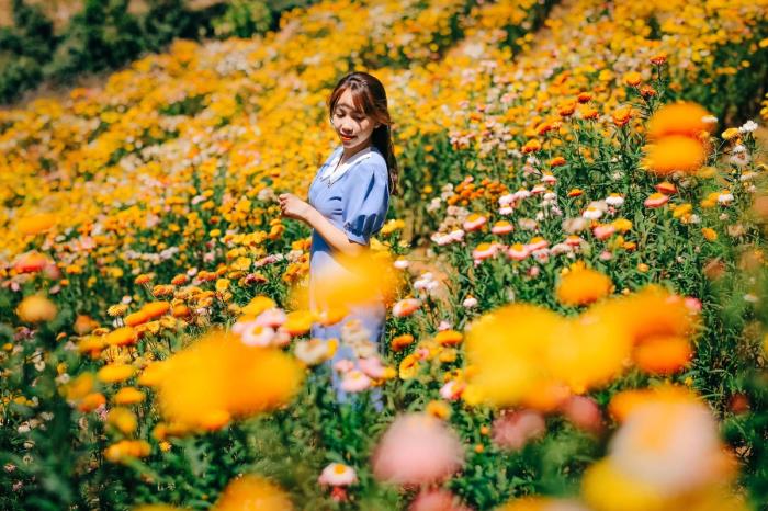 [review] top 8 vườn hoa đà lạt với không gian check in siêu đẹp