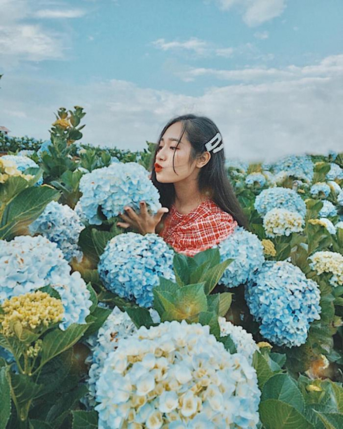 [review] top 8 vườn hoa đà lạt với không gian check in siêu đẹp