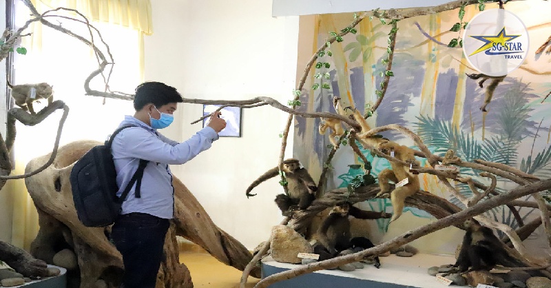 bảo tàng sinh học đà lạt- bộ sưu tập mang nét riêng của núi rừng tây nguyên