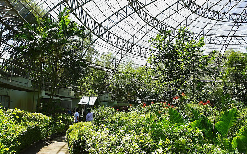 vườn bướm thái lan butterfly garden – địa điểm du lịch không thể bỏ qua