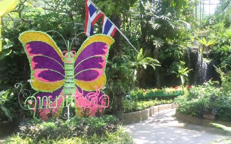 vườn bướm thái lan butterfly garden – địa điểm du lịch không thể bỏ qua