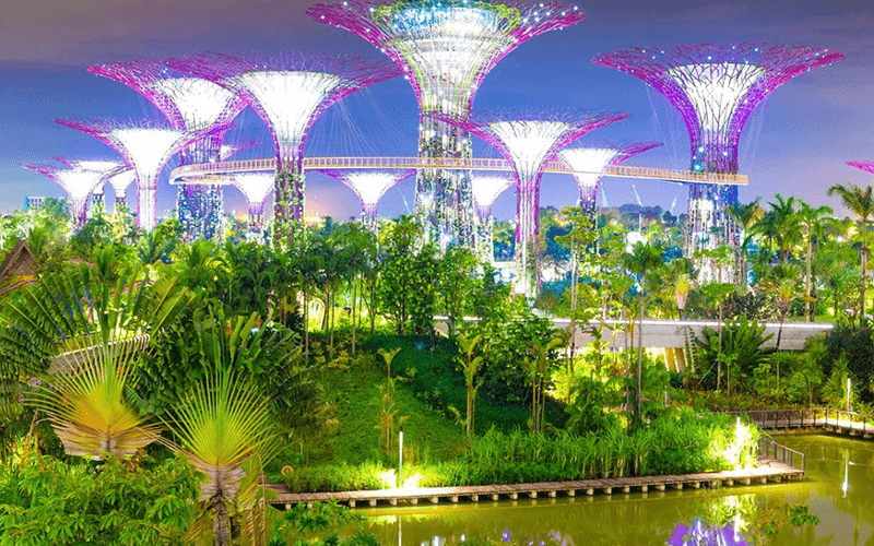 Gardens by the Bay – “Thành phố trong một khu vườn” Singapore