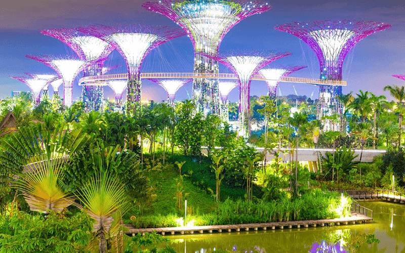 gardens by the bay – “thành phố trong một khu vườn” singapore