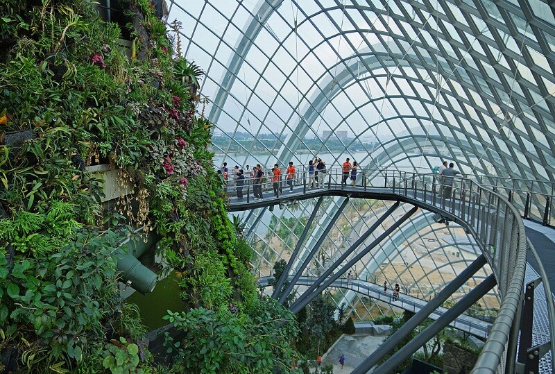 gardens by the bay – “thành phố trong một khu vườn” singapore