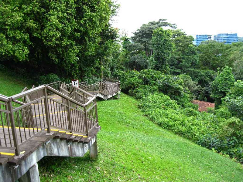 Faber Mount – Bức tranh thiên nhiên đắt giá của Singapore