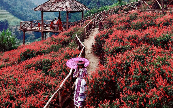 thăm bản cát cát sapa- ngôi làng bình dị vùng cao