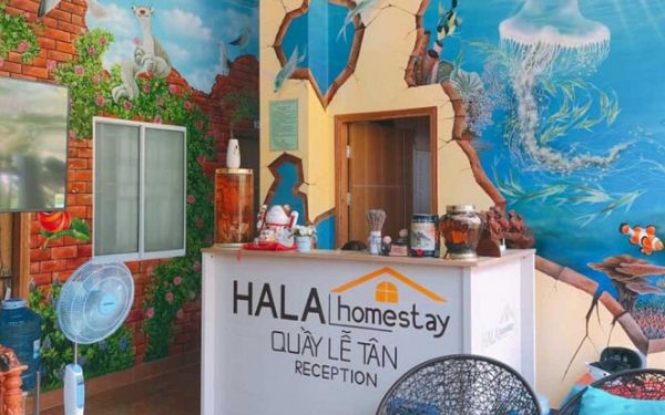 5 homestay hòn sơn view biển đẹp