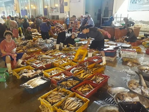 top 6 khu chợ bán hải sản tươi sống tại đà nẵng