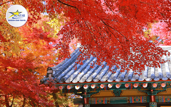 Tour Hàn Quốc tháng 10- Chiêm ngưỡng sắc thu đẹp hoàn hảo