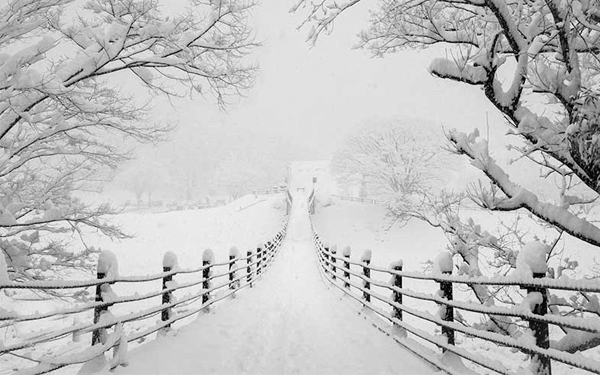 Tour Nhật Bản mùa đông- Thiên đường tuyết trắng 