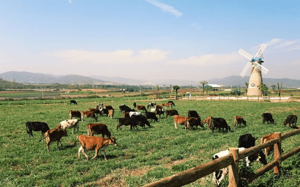 tour đà lạt tháng 11- mùa gây thương nhớ