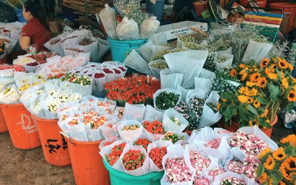 Kinh nghiệm mua hoa chợ hồ Thị kỷ