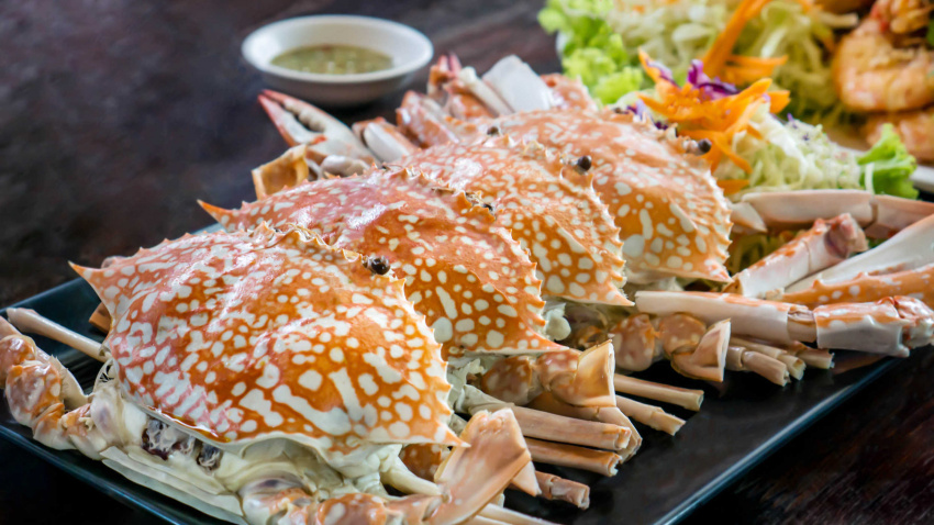 TOP 12 quán nhậu Tân Phú nổi tiếng đồ ăn ngon”hút hồn” thực khách