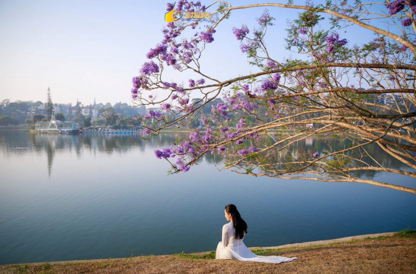 hồ xuân hương đà lạt- viên ngọc sáng giá nằm giữa trung tâm thành phố ngàn hoa!