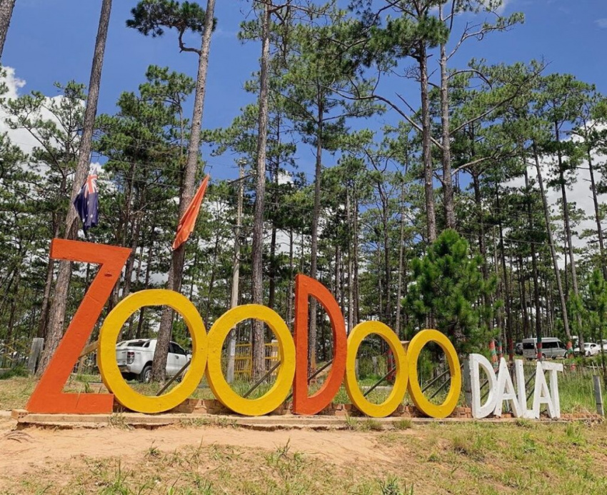 review tất tần tật vườn thú zoodoo đà lạt, giá vé, đường đi năm 2022