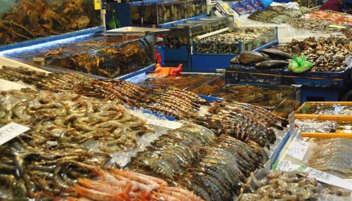 top 6 chợ hạ long bán hải sản chất lượng giá rẻ nhất