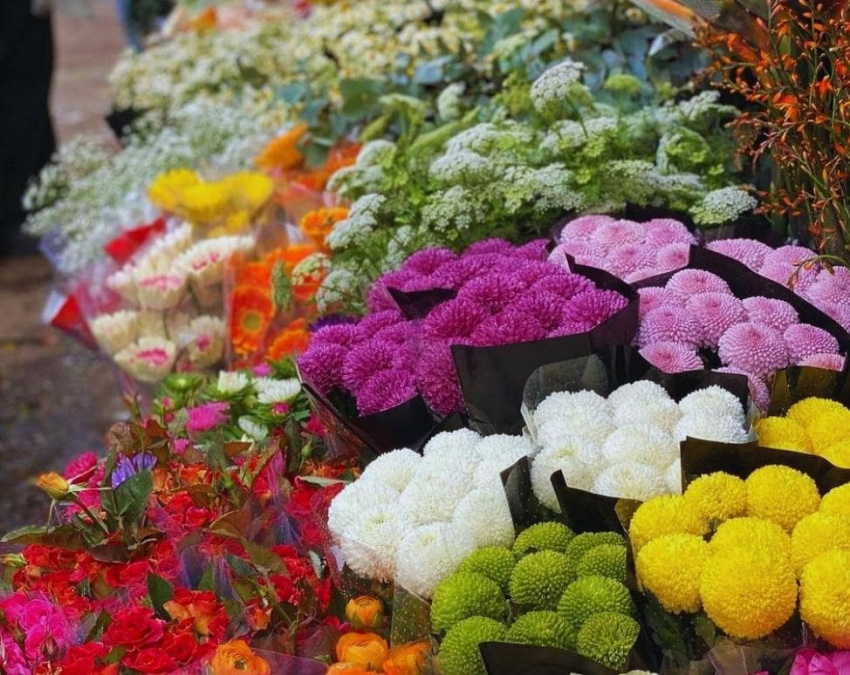 kinh nghiệm đi chợ hoa quảng bá – một góc khác của đêm hà nội