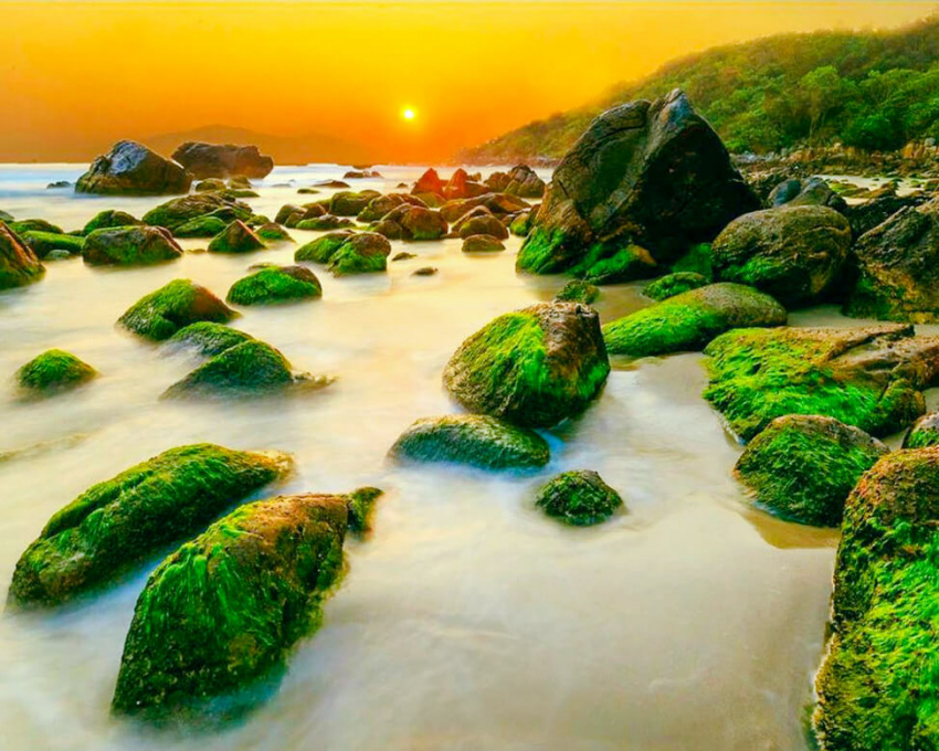 Bãi Rêu Nam Ô Đà Nẵng | Vẻ đẹp hoang sơ của rêu xanh trên đá biển