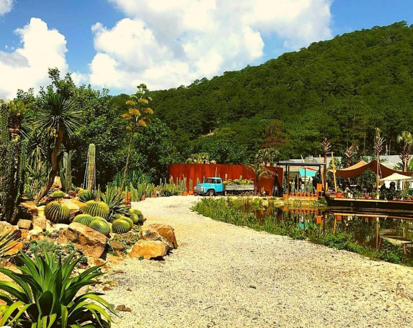 Vườn xương rồng Đà Lạt – Quán cafe với khung cảnh tựa miền Tây nước Mỹ