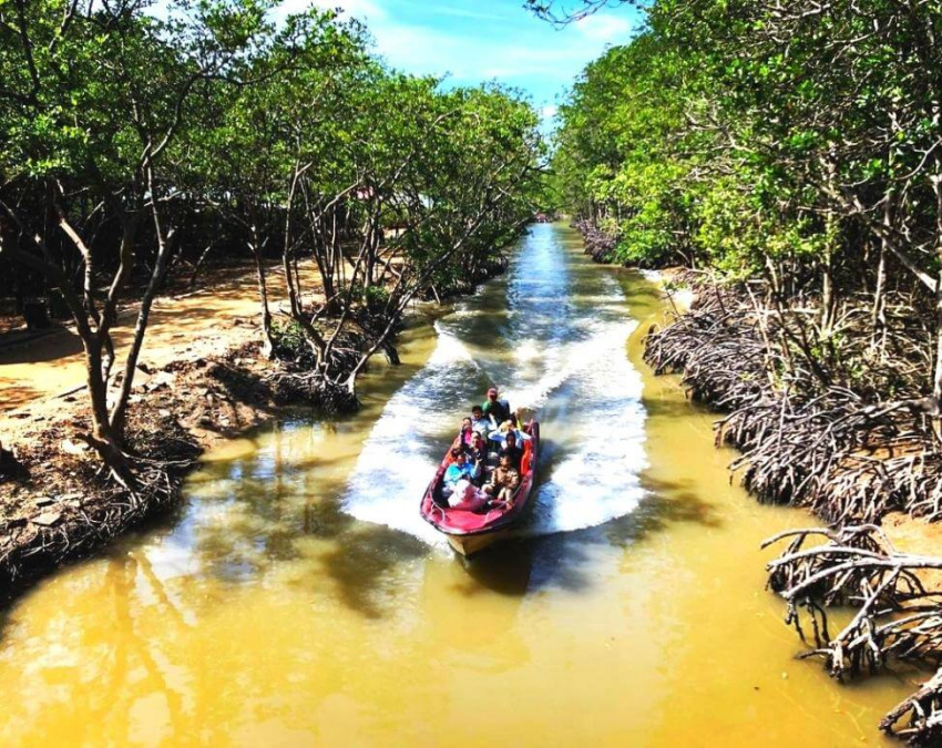 khu du lịch đảo khỉ cần giờ – khám phá môi trường rừng nguyên sinh ngập mặn