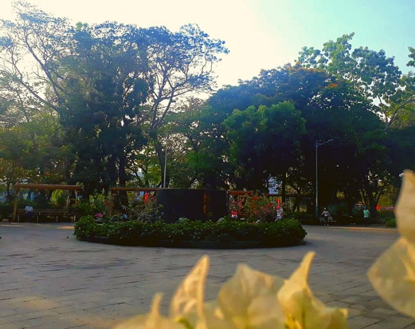 Công viên Phú Lâm quận 6 – Trải nghiệm không gian xanh tại Sài Gòn