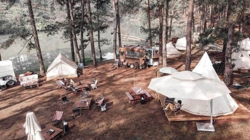 Review về chuyến camping ở rừng thông Đà Lạt