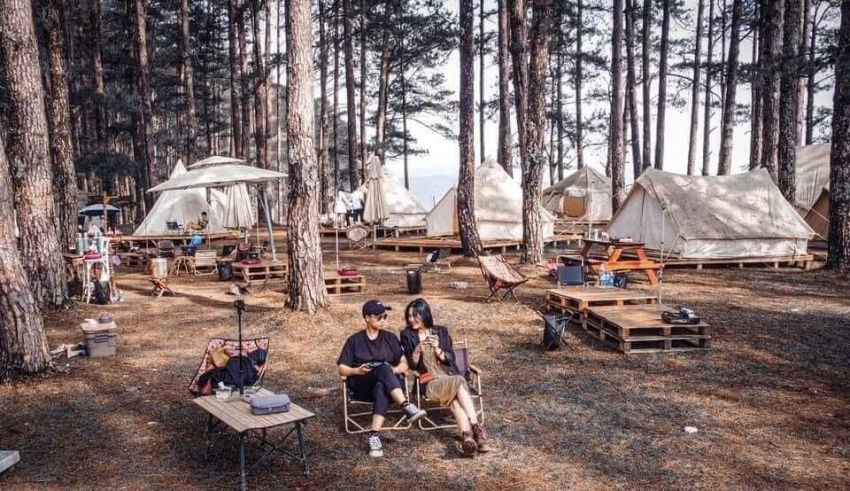 rừng thông đà lạt, campingviet.vn, camping việt, camping ở rừng thông đà lạt, camping, review về chuyến camping ở rừng thông đà lạt