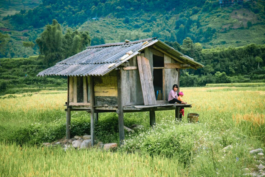 hướng dẫn du lịch mù cang chải cho người mới đi lần đầu