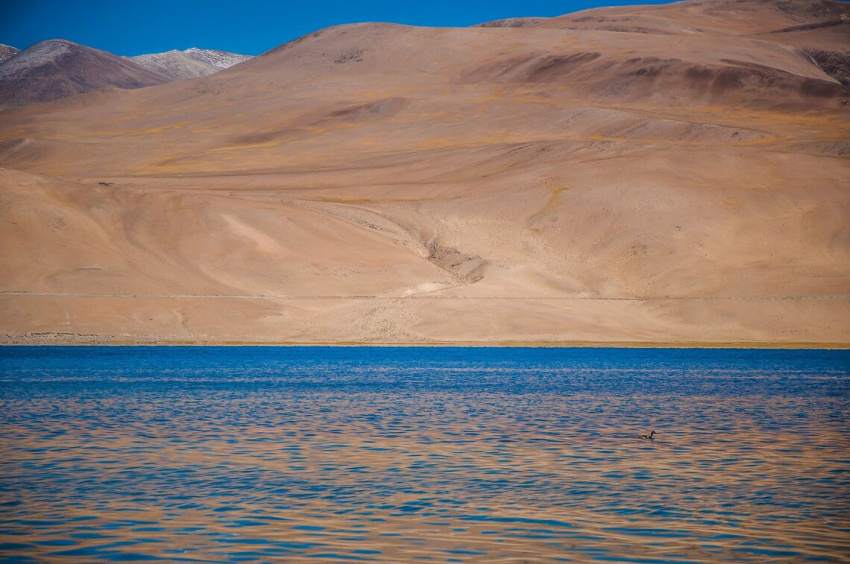 kinh nghiệm du lịch tự túc ladakh - phần 3