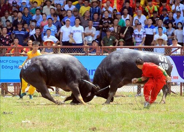 rộn ràng hè sang, đồ sơn biển gọi