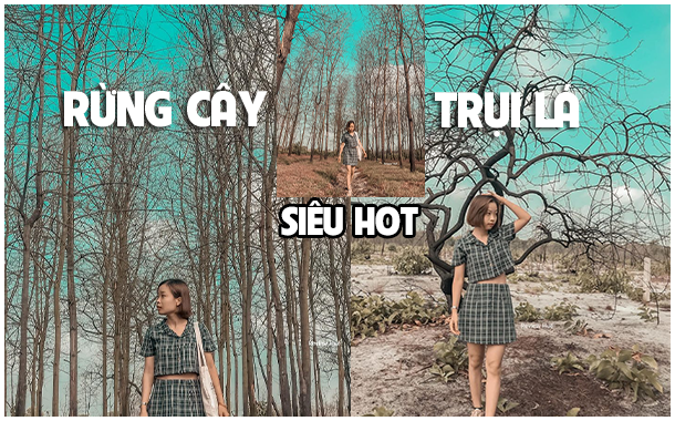 phát hiện ra rừng cây trụi lá – cát trắng ngà, sống ảo cực “cool” tại huế !!