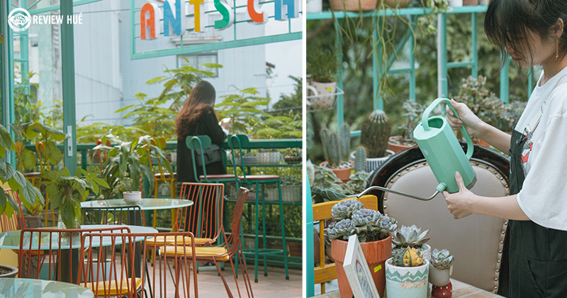 Lưu gấp quán cafe đẹp giữa lòng thành phố Huế cho tín đồ sống ảo – Ants Cafe