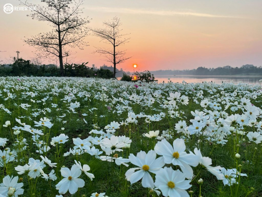 vườn hoa văn thánh – địa điểm check in đẹp không thể bỏ qua vào mùa hoa nở tại huế