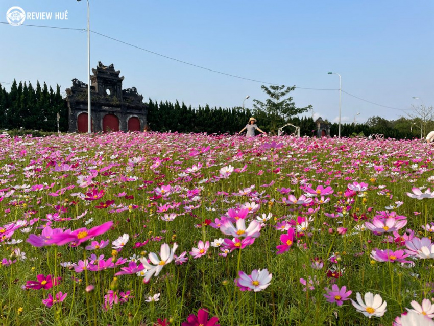 vườn hoa văn thánh – địa điểm check in đẹp không thể bỏ qua vào mùa hoa nở tại huế
