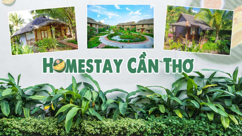 homestay cần thơ – top 31 địa chỉ miệt vườn, sang chảnh nhất ()