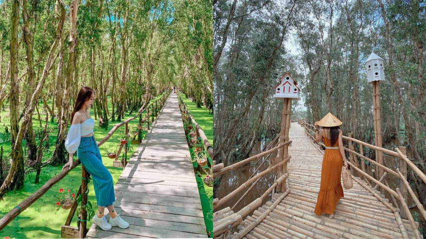 rừng tràm trà sư – check-in rừng tràm đẹp nhất việt nam ()