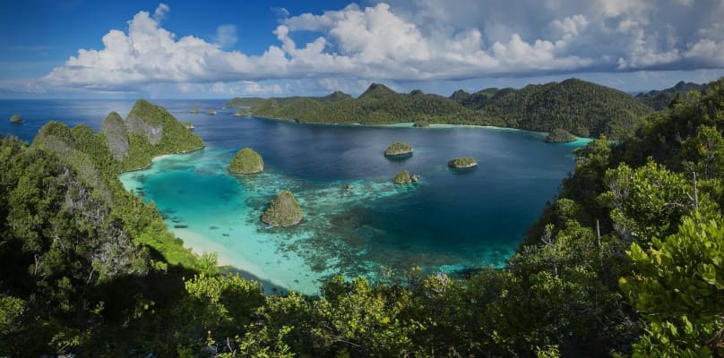 Du Lịch Papua Indonesia Cùng Những Kinh Nghiệm Bổ Ích