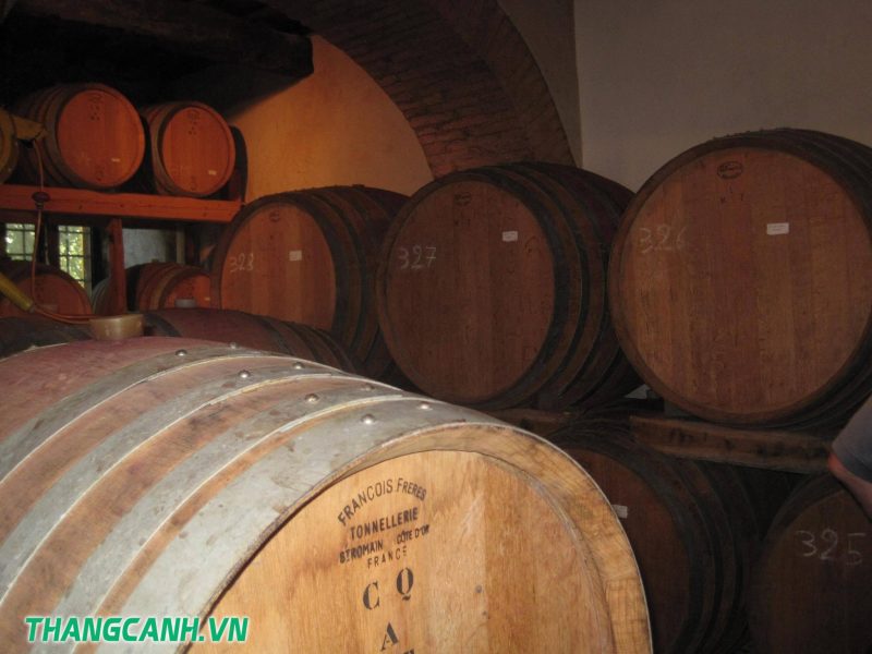 florence, italia, florence, italy thăm nơi làm rượu nho vùng chianti.