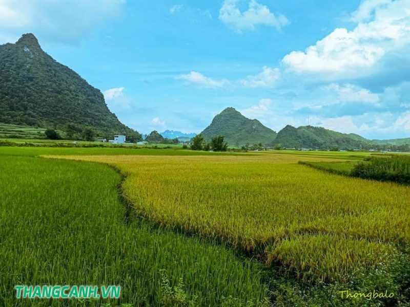 cao bằng, phong nậm- cao bằng, thung lũng phong nậm, thung lũng phong nậm tuyệt sắc cảnh mê hoặc lữ khách ở cao bằng